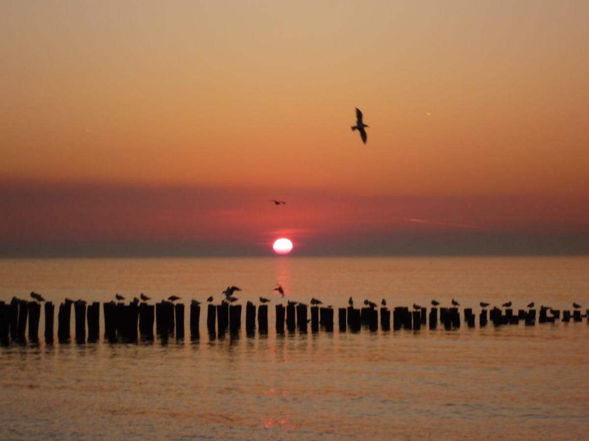 Prachtige Vakantiewoning dichtbij bos en strand OK22 Oostkapelle Buitenkant foto